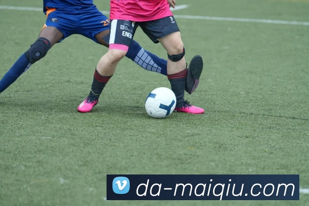 买球赛事预测服务体系